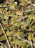 Holiday Apartment Anderewelt-bochum