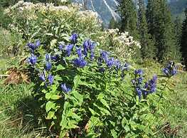 1 Porzig Modern Retreat