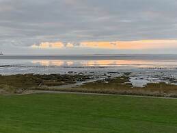 Blauort in Friedrichskoog-spitze