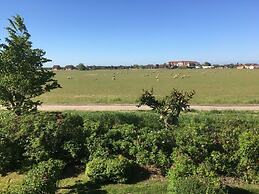 Blauort in Friedrichskoog-spitze