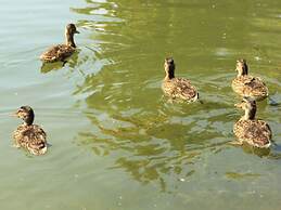 Stella Maris Modern Retreat