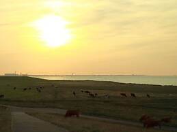 Stella Maris Modern Retreat