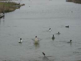 Stella Maris Modern Retreat