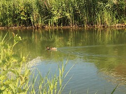 Stella Maris Modern Retreat