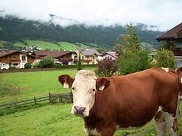 Apartment Near the ski Area in the Salzburg Region