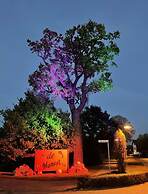 Marina del Mar Zingst