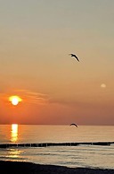 Marina del Mar Zingst