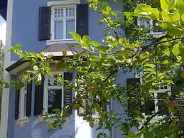 in het Blauwe Huis - BG