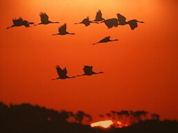 Holiday Apartment Dune House