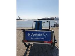 De Seekobb -beachgoers
