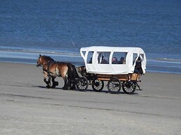 De Seekobb -beachgoers