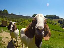 Apartment in St. Stefan im Rosental