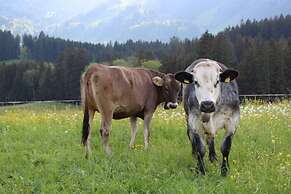 Nice Holiday Apartment in Fischen