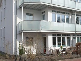 Herring Gull in the Villa Meernixe Binz