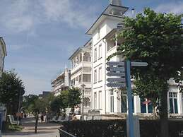 Herring Gull in the Villa Meernixe Binz