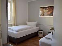 Herring Gull in the Villa Meernixe Binz