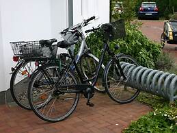 Herring Gull in the Villa Meernixe Binz