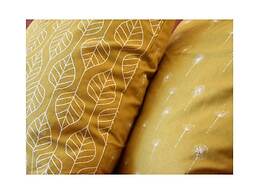 Herring Gull in the Villa Meernixe Binz