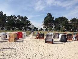 Herring Gull in the Villa Meernixe Binz