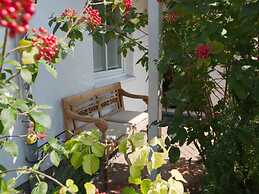 Herring Gull in the Villa Meernixe Binz