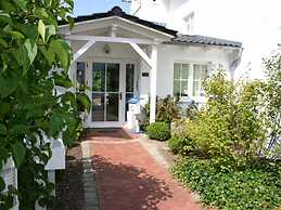 Herring Gull in the Villa Meernixe Binz