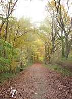 Holiday Apartment Kirchhoff