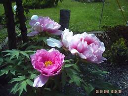 Holiday Apartment Kirchhoff