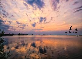 Peaceful Coastal Stay, Rosolina