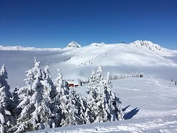 Charmante Ferienwohnung in Mittersill