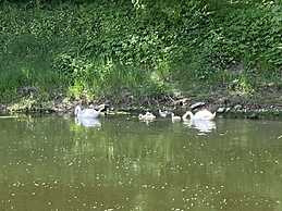 aan de Oever van de Werra