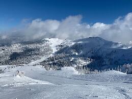 Alpine Hut Hannah Comfortable Vacation Home