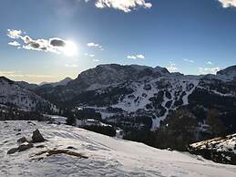 Alpine Hut Hannah Comfortable Vacation Home