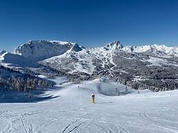 Alpine Hut Hannah Comfortable Vacation Home