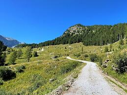 Alpine Hut Hannah Comfortable Vacation Home