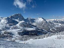 Alpine Hut Hannah Comfortable Vacation Home