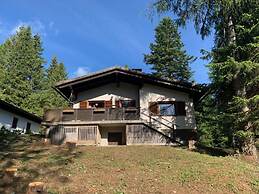 Alpine Hut Hannah Comfortable Vacation Home