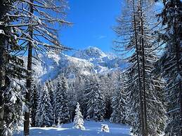 Alpine Hut Hannah Comfortable Vacation Home
