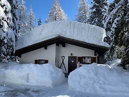 Alpine Hut Hannah Comfortable Vacation Home