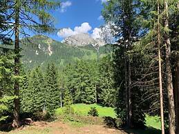 Alpine Hut Hannah Comfortable Vacation Home