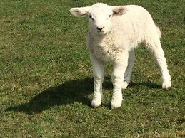 Buschsand Lee Comfortable Holiday Residence