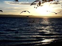 Lake Constance Hearts