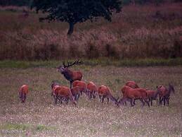 Holiday Apartment New Love