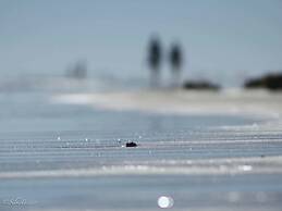 Holiday Apartment New Love