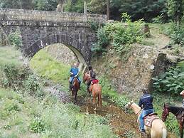 Gorgeous Cottage in Pescaglia With Swimming Pool