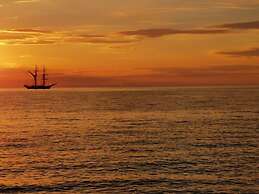 Red Beech Modern Retreat