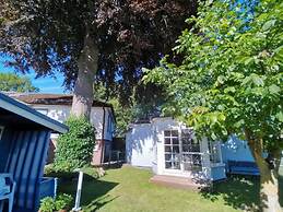 Red Beech Modern Retreat