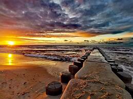 Red Beech Modern Retreat