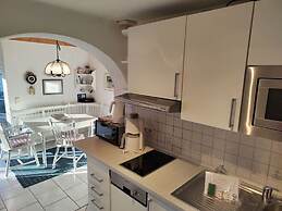 Red Beech Modern Retreat