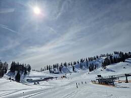 Narcissus Comfortable Holiday Residence