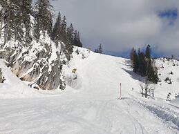 Narcissus Comfortable Holiday Residence